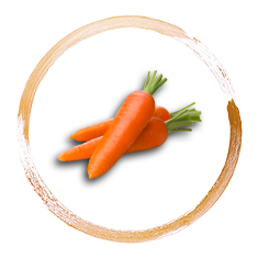 Produkt Beschreibung
