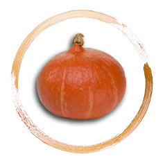 Produkt Beschreibung